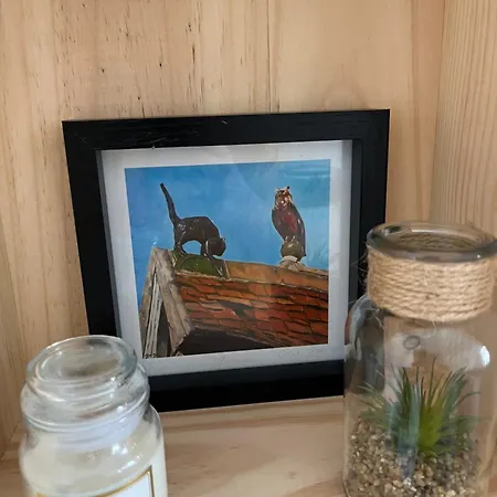 Loft Pasteur - Homillesime Digione