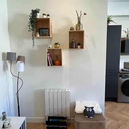 Loft Pasteur - Homillesime ディジョン