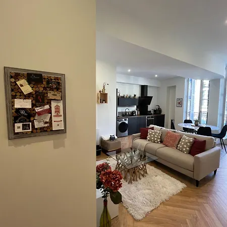 Apartment Loft Pasteur - Homillesime Dijon