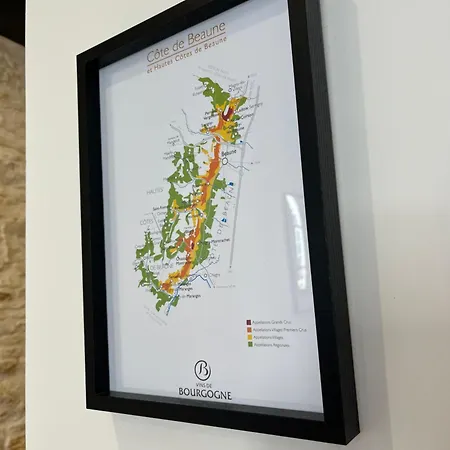 Loft Pasteur - Homillesime *