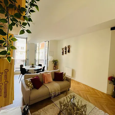 Apartment Loft Pasteur - Homillesime Dijon