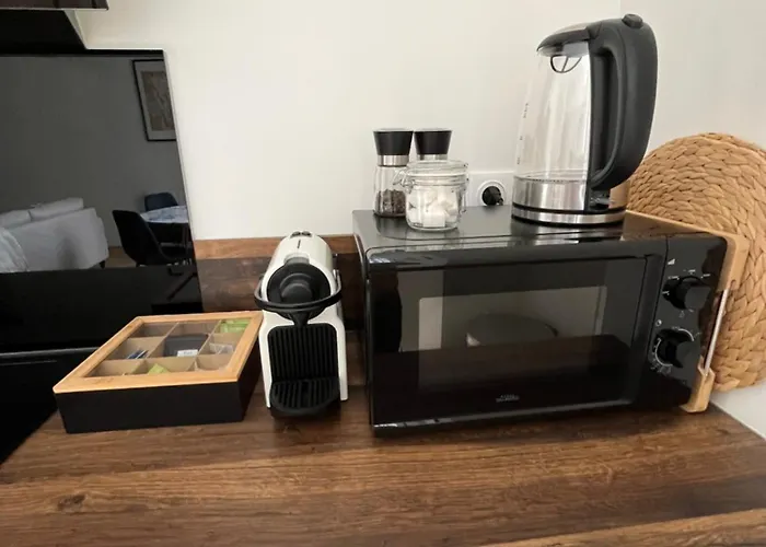 Lägenhet Loft Pasteur - Homillesime