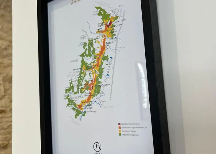 Loft Pasteur - Homillesime *